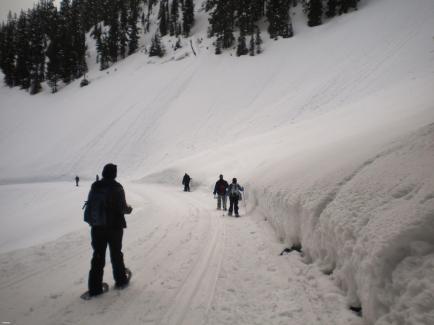 trporter snowshoeing white pass